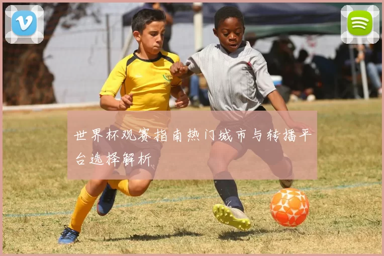 世界杯观赛指南热门城市与转播平台选择解析