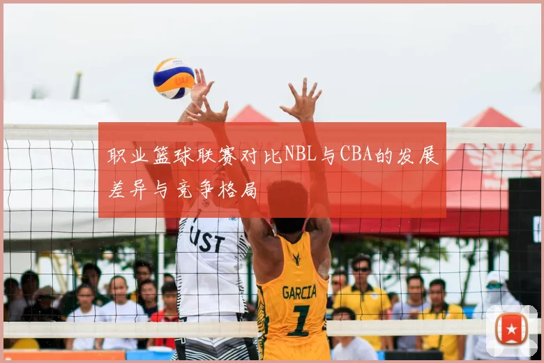 职业篮球联赛对比NBL与CBA的发展差异与竞争格局