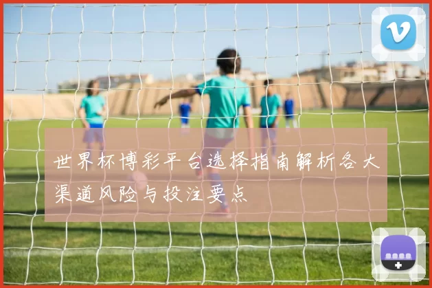 世界杯博彩平台选择指南解析各大渠道风险与投注要点