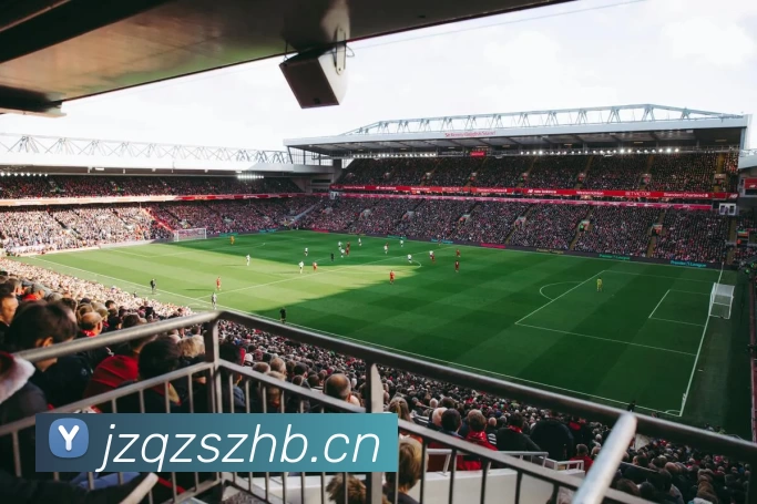 星空网官方网址入口APP 封面图